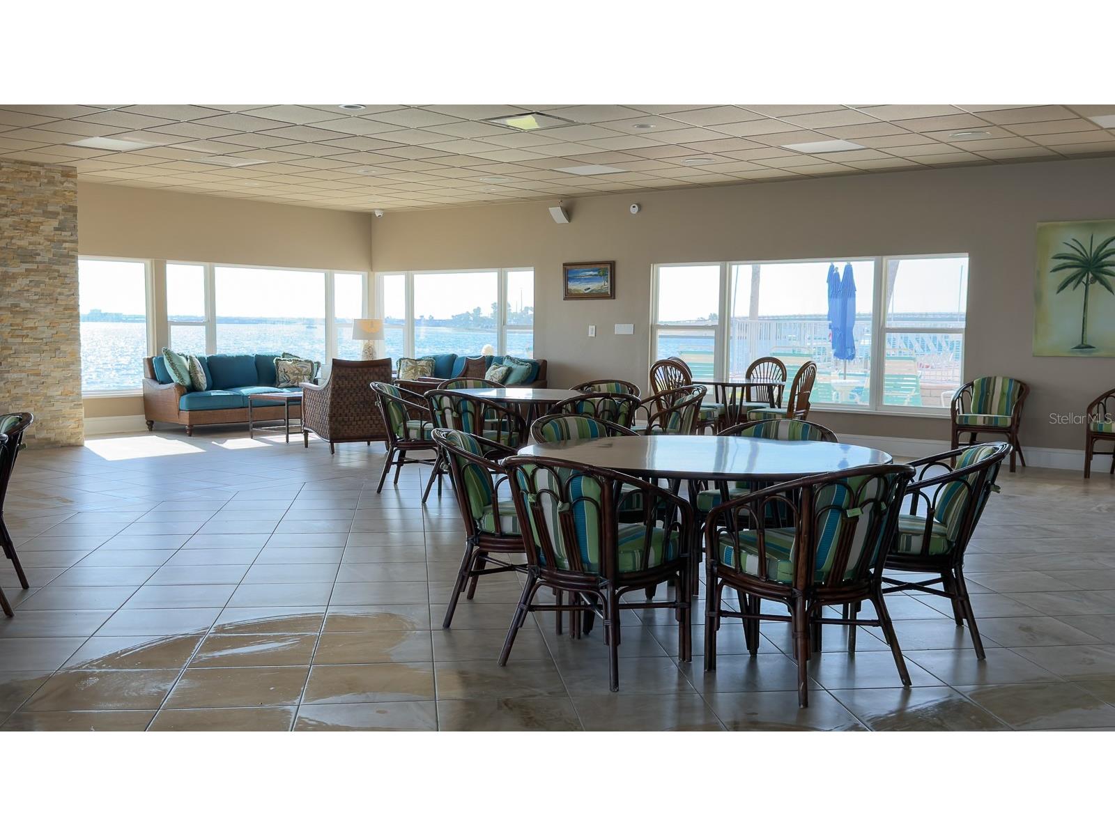 8 Glencoe Place #104 Dunedin FL 34698 TB8485361 image46