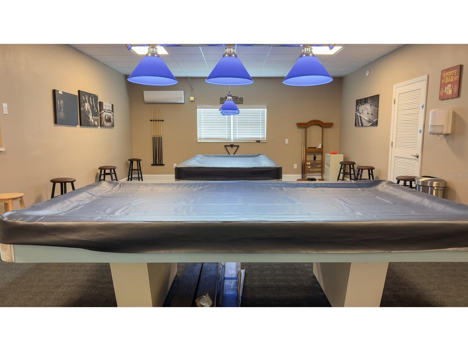 8 Glencoe Place #104 Dunedin FL 34698 TB8485361 image50