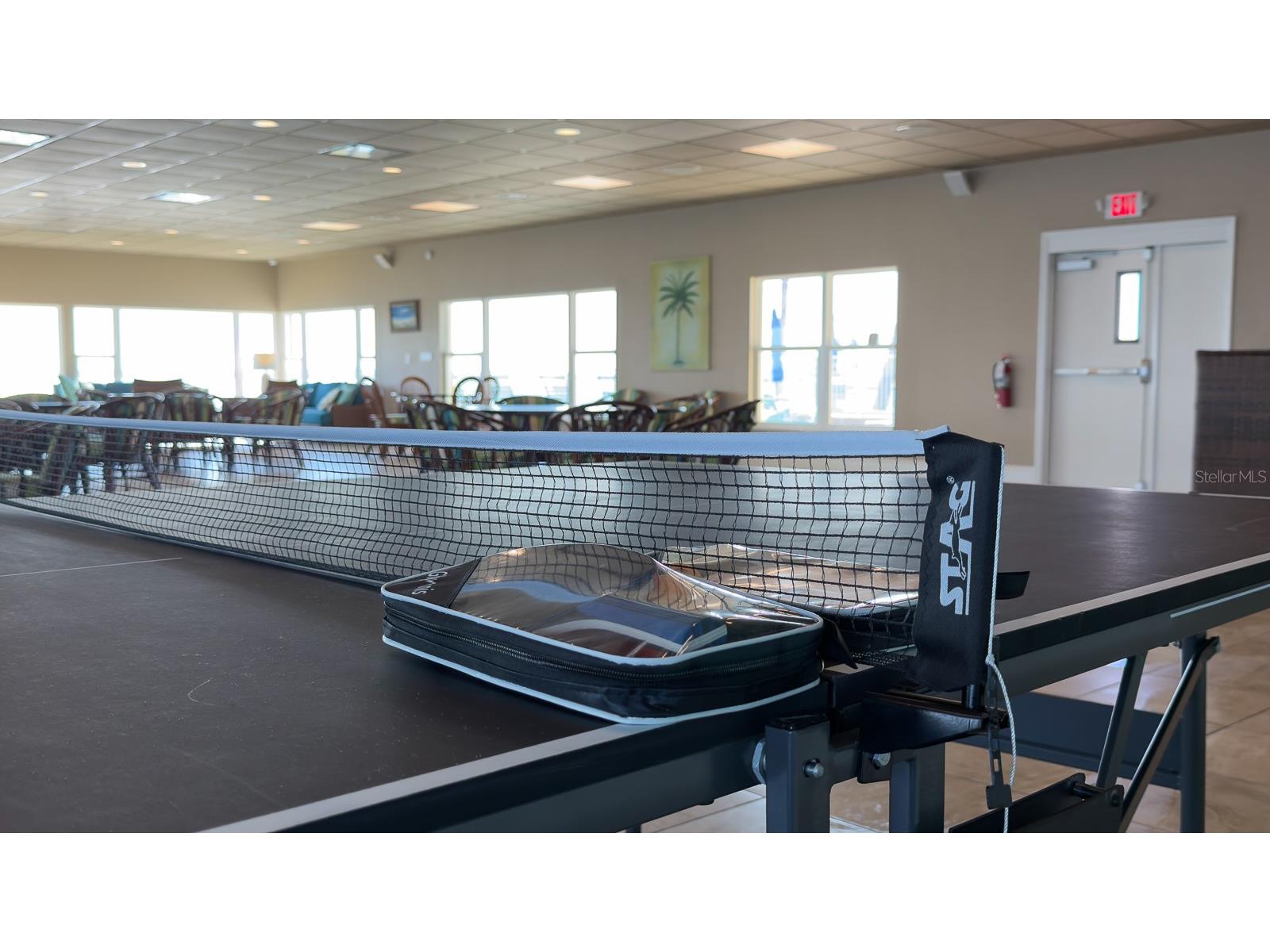 8 Glencoe Place #104 Dunedin FL 34698 TB8485361 image51