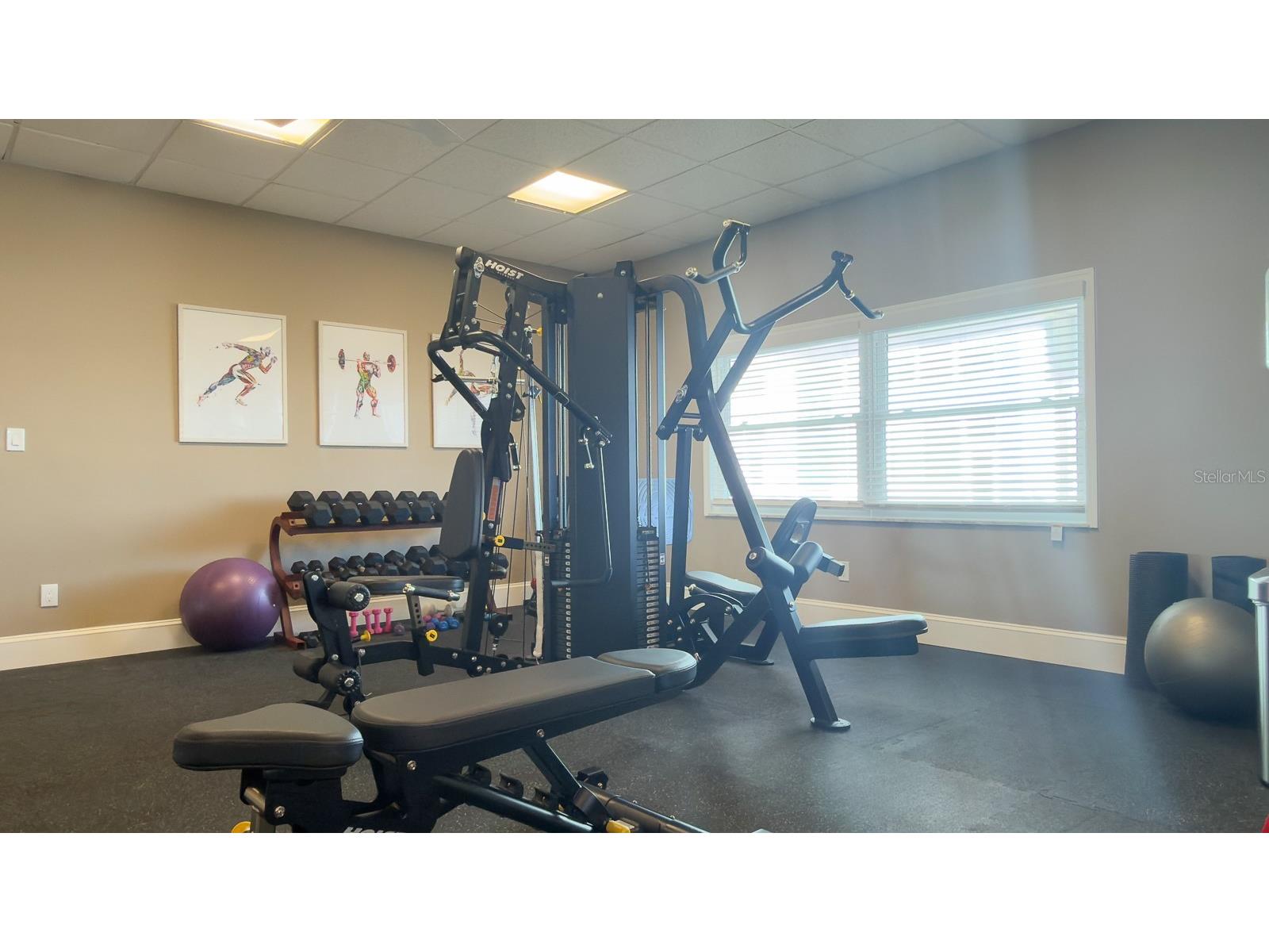 8 Glencoe Place #104 Dunedin FL 34698 TB8485361 image52