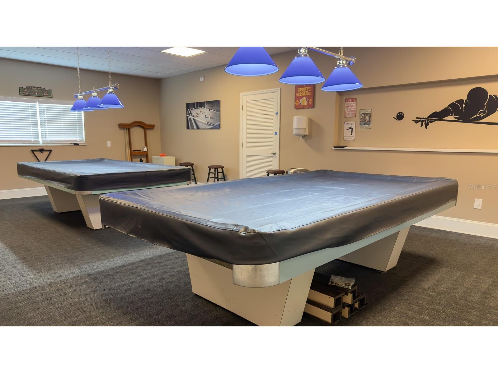 8 Glencoe Place #104 Dunedin FL 34698 TB8485361 image56