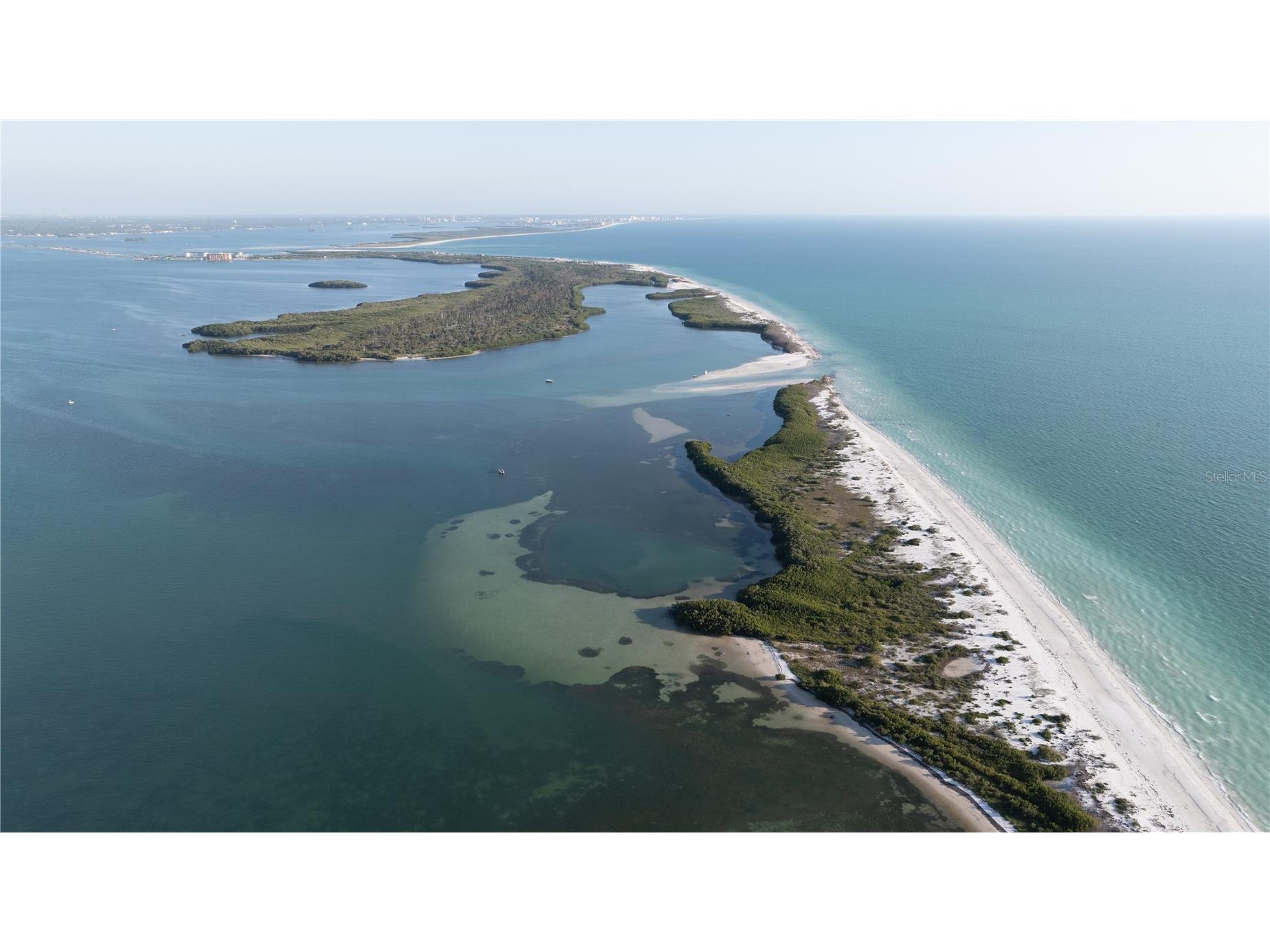 8 Glencoe Place #104 Dunedin FL 34698 TB8485361 image69