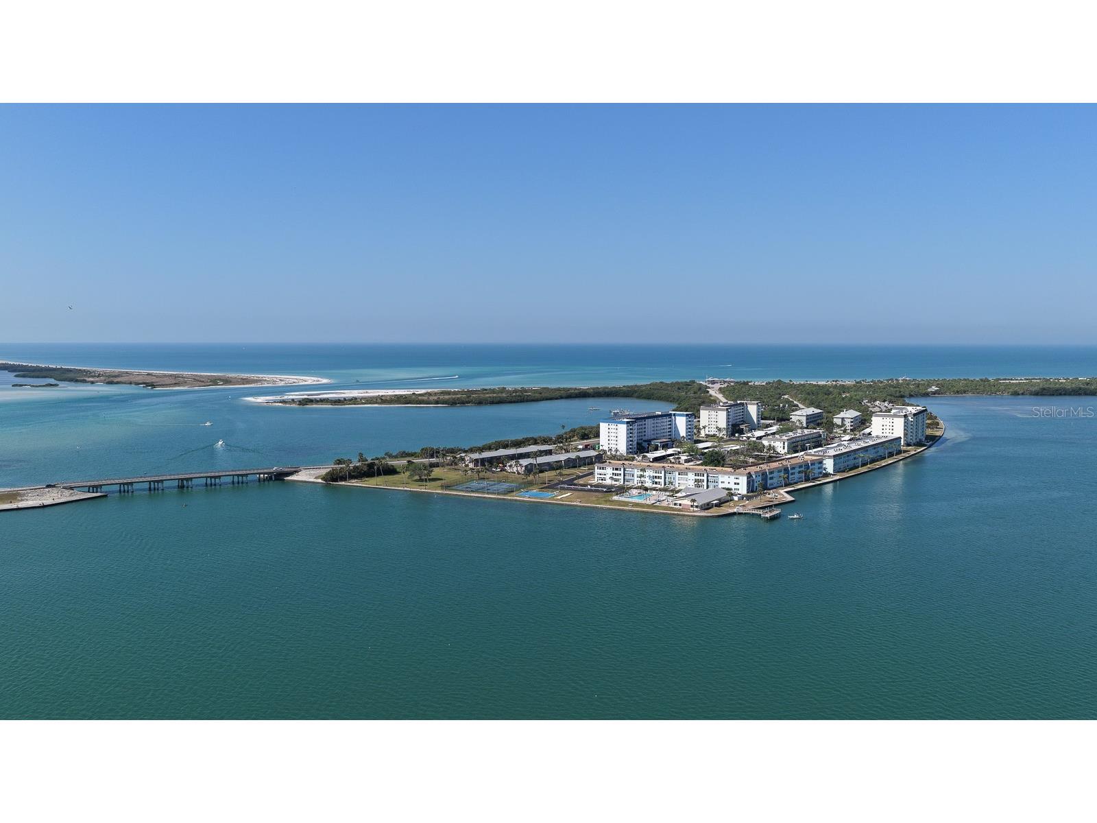 8 Glencoe Place #104 Dunedin FL 34698 TB8485361 image7