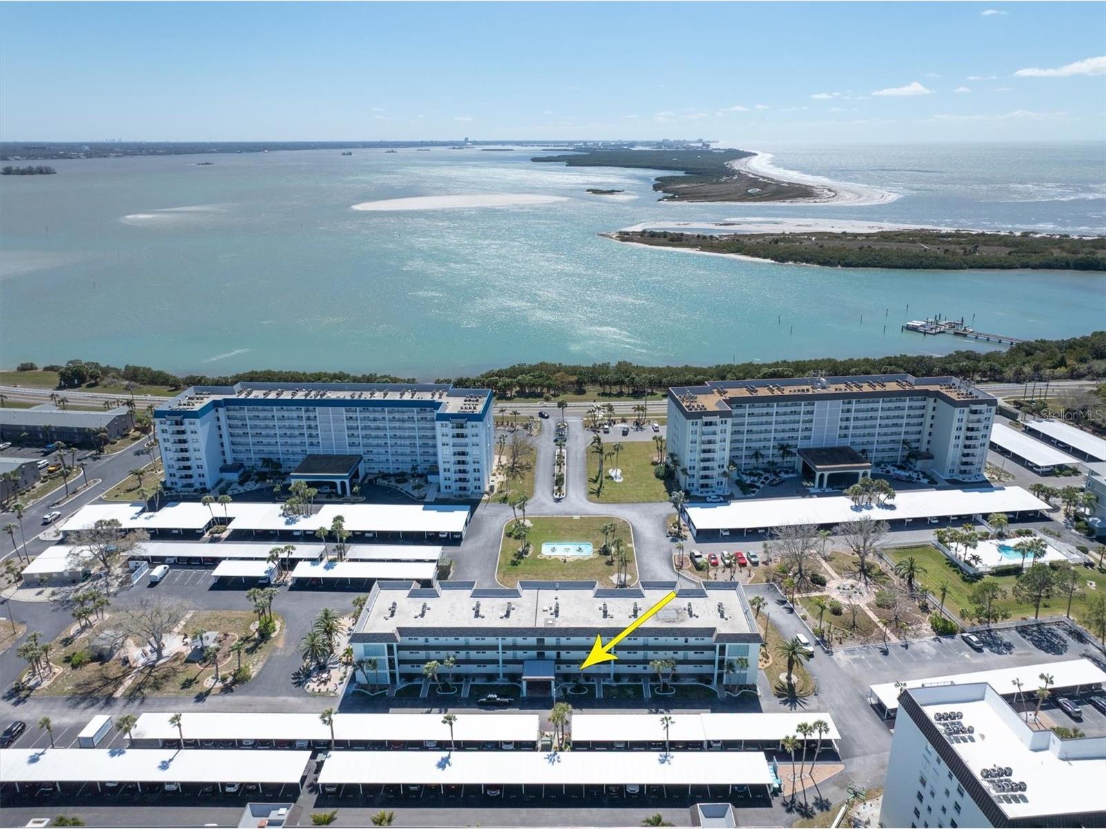 8 Glencoe Place #105 Dunedin FL 34698 W7883444 image2