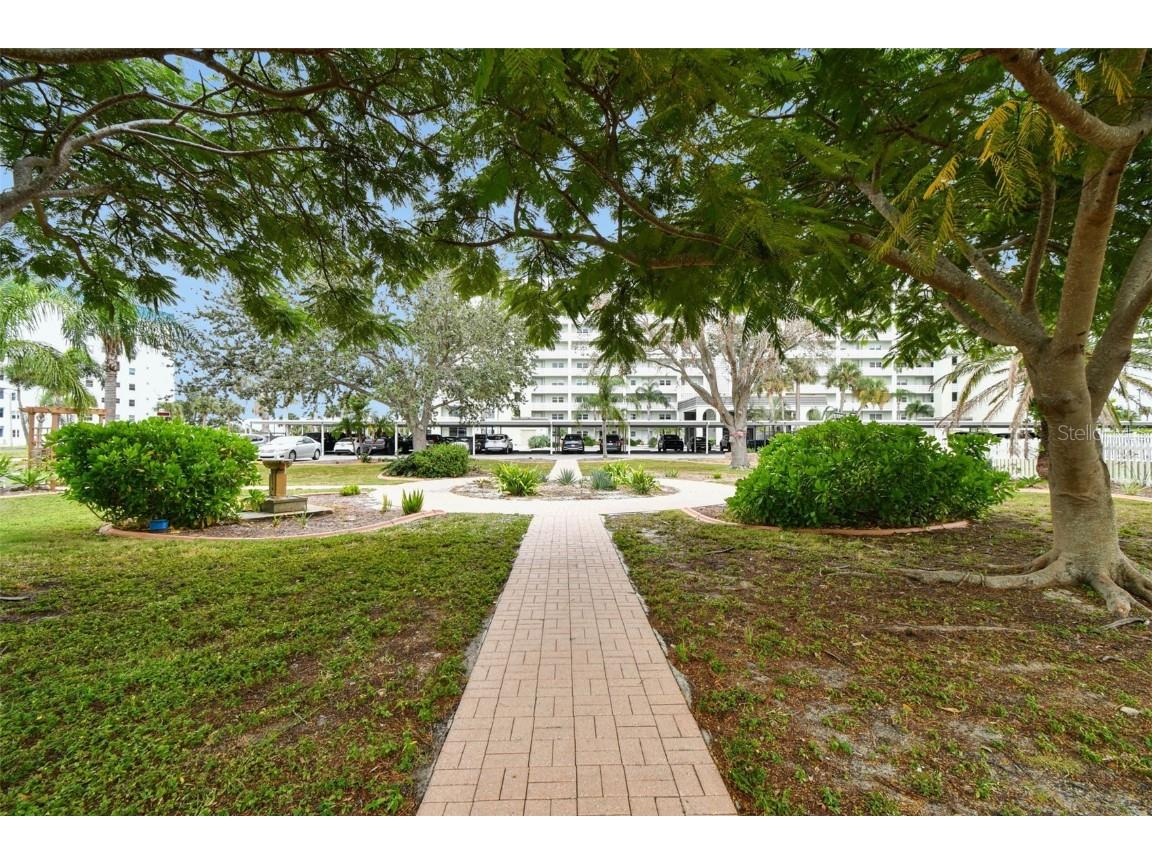 8 Glencoe Place #107 Dunedin FL 34698 TB8447757 image39