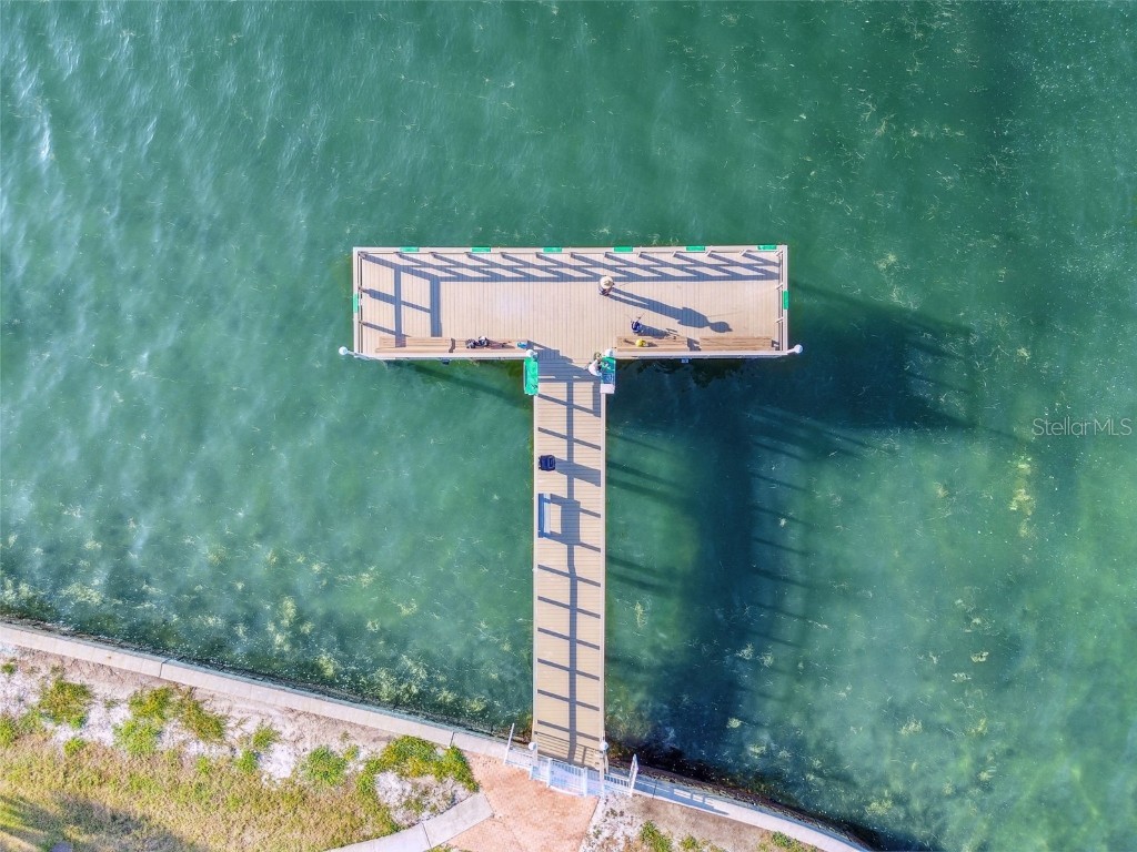 8 Glencoe Place #107 Dunedin FL 34698 TB8447757 image49