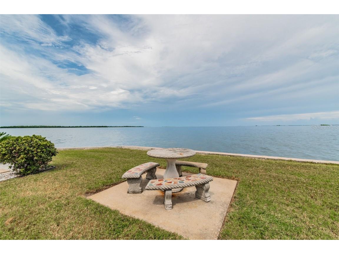 8 Glencoe Place #307 Dunedin FL 34698 - GULF OF AMERICA TB8427811 image47