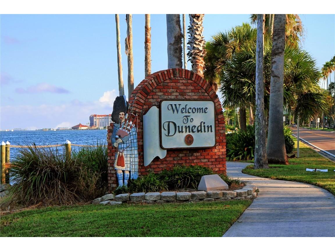 8 Glencoe Place #307 Dunedin FL 34698 - GULF OF AMERICA TB8427811 image56