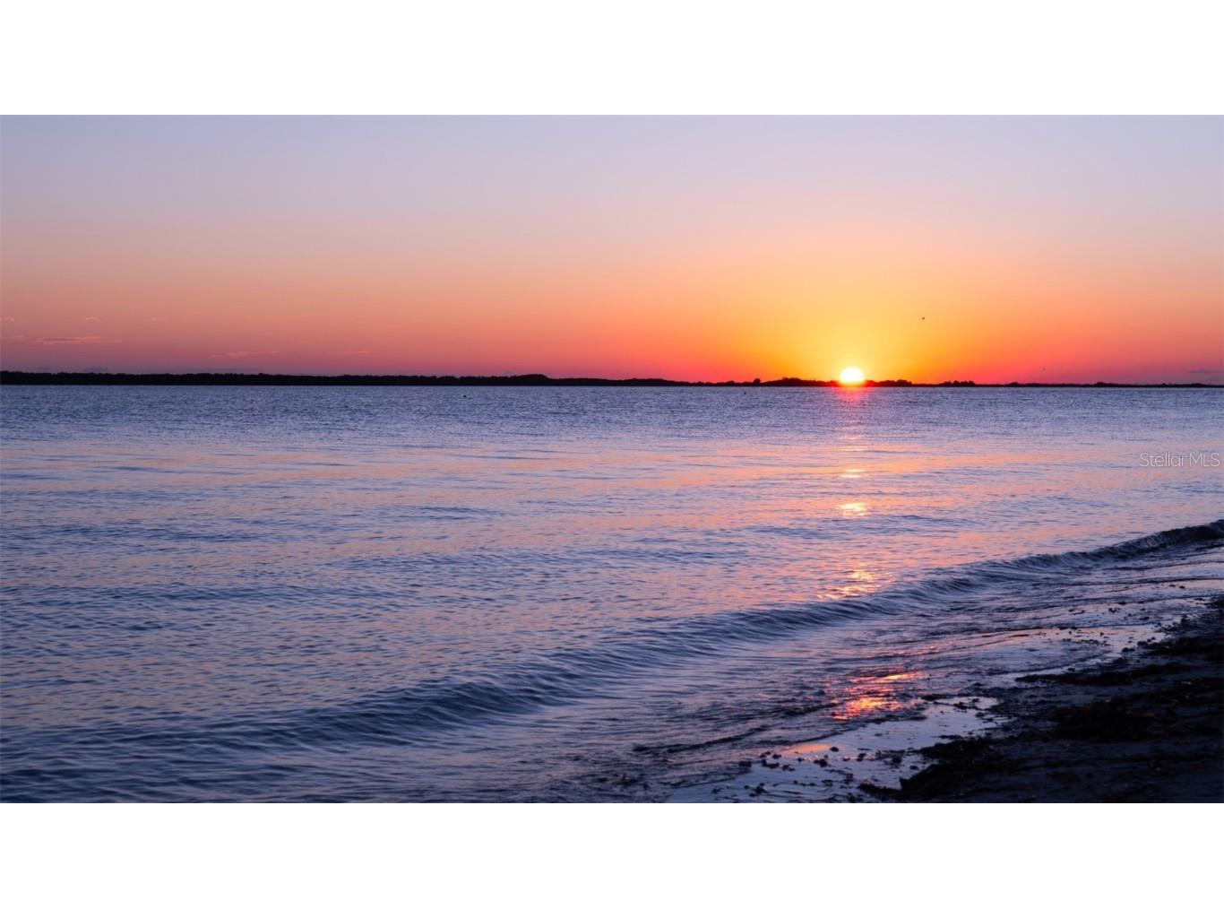 8 Glencoe Place #307 Dunedin FL 34698 - GULF OF AMERICA TB8427811 image58