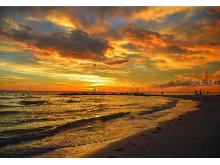 8 Glencoe Place #307 Dunedin FL 34698 - GULF OF AMERICA TB8427811 image59