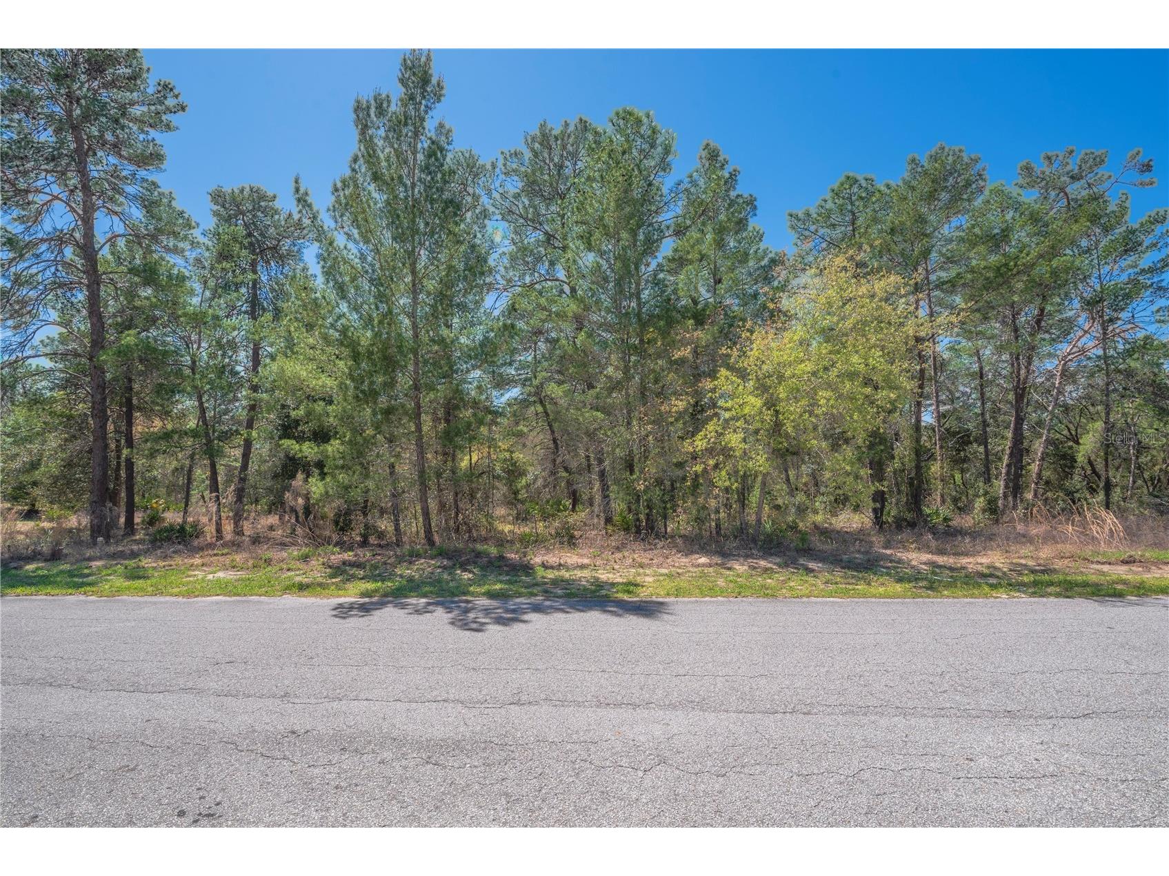 8 Heuchera Court E Homosassa FL 34446 TB8482522 image1