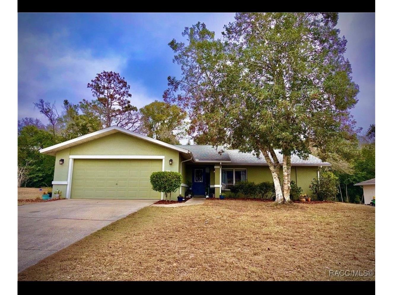 8 Hollyhock Court Homosassa FL 34446 J999880 image1