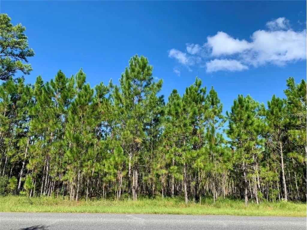 8 Jericho Trail Eustis FL 32736 GC521532 image1