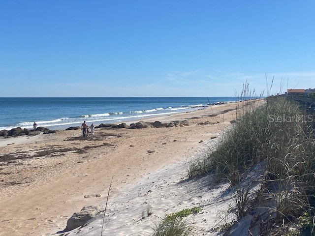 8 Laughing Gull Lane Palm Coast FL 32137 FC314056 image63