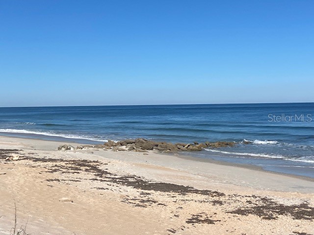 8 Laughing Gull Lane Palm Coast FL 32137 FC314056 image64