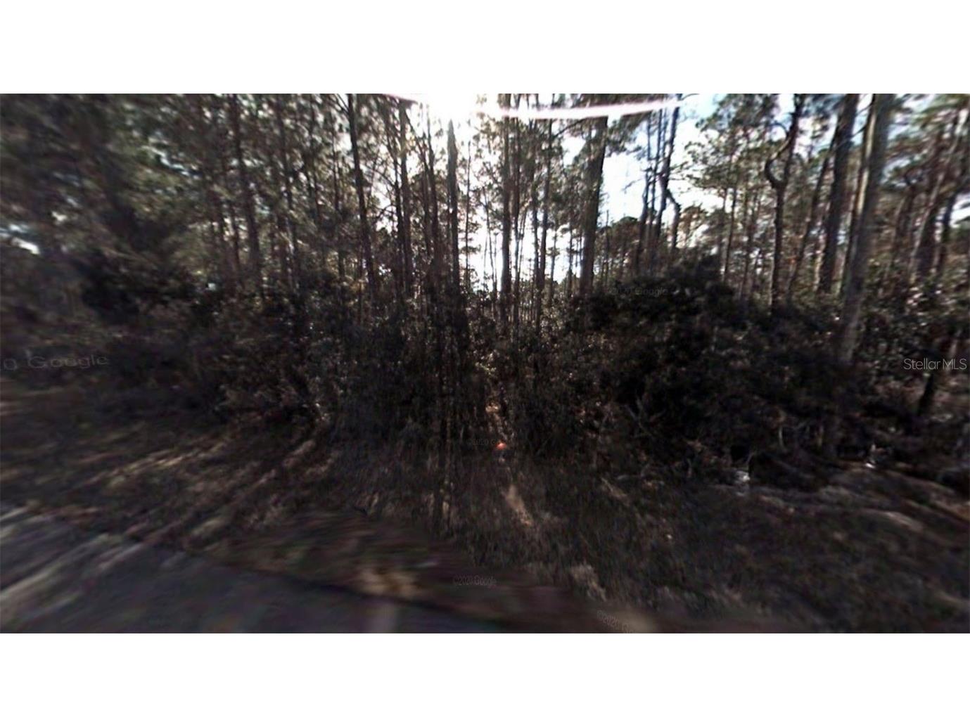 8 Lleberry Path Palm Coast FL 32164 T3459591 image1