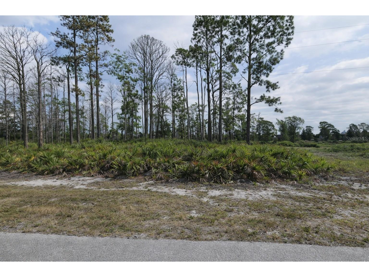 8 Mast Drive Placida FL 33946 TB8466152 image1
