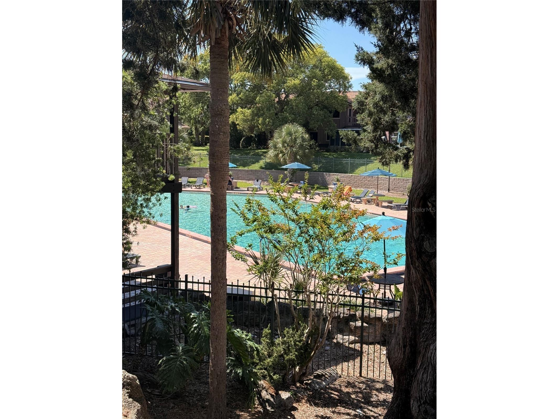 8 Mimosa Trail Ormond Beach FL 32174 V4950215 image24