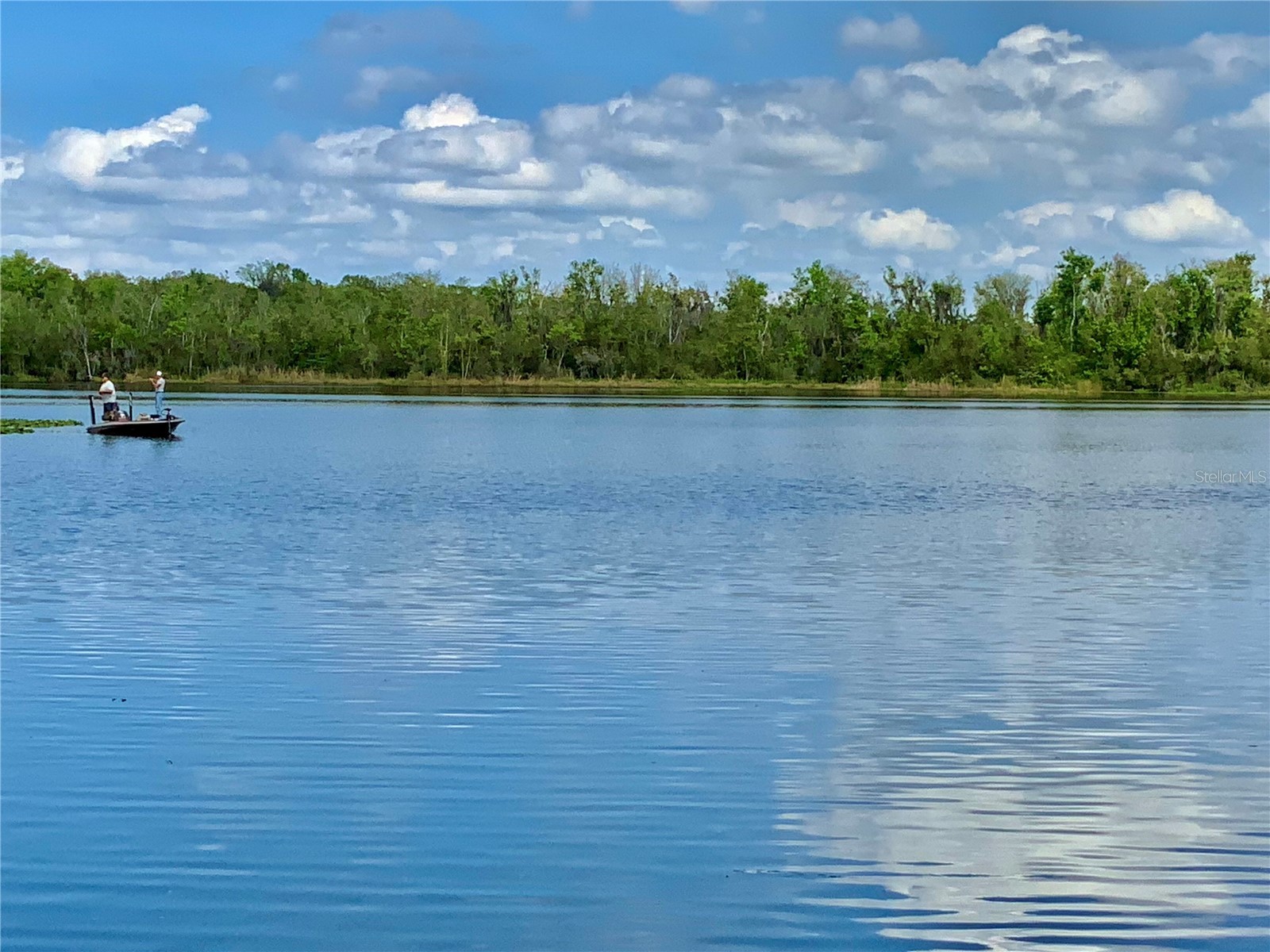 8 Orangewood Drive Fruitland Park FL 34731 - LAKE GRIFFIN G5109662 image1