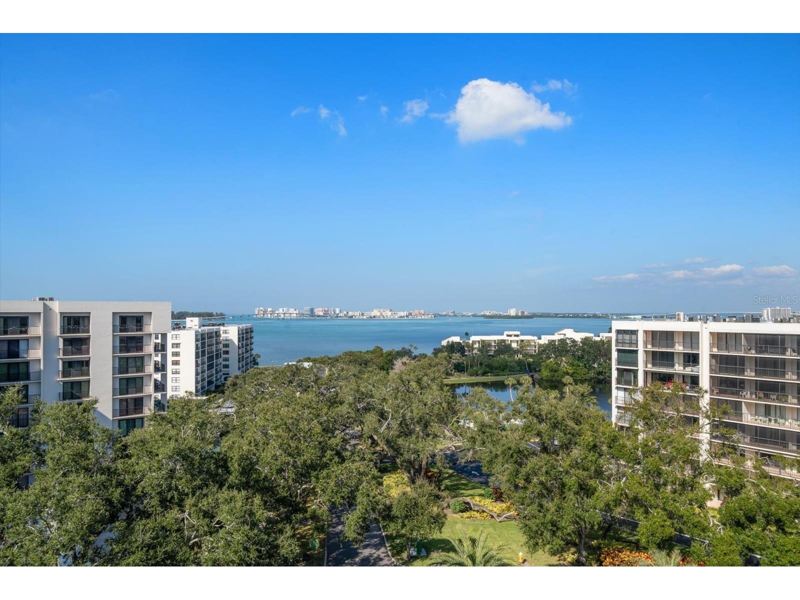 8 Palm Terrace #605 Belleair FL 33756 TB8451166 image45