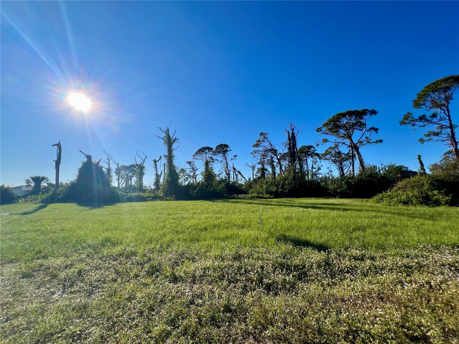 8 Pennant Place Placida FL 33946 C7521469 image1