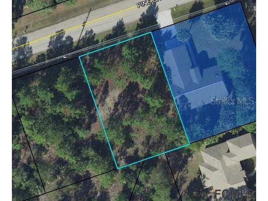 8 Pine Grove Drive Palm Coast FL 32164 FC276436 image2