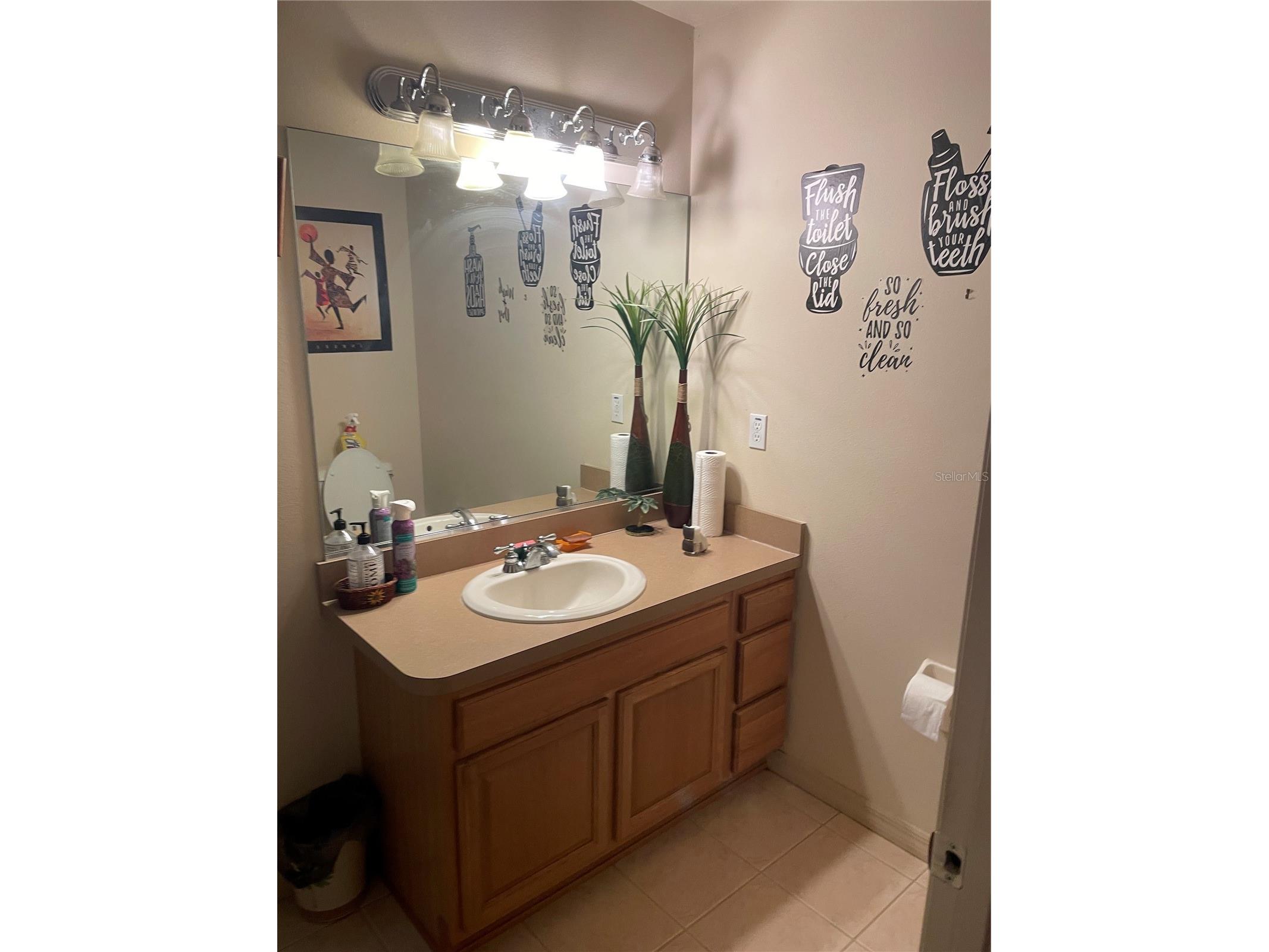 8 Pine Pass Trace Ocala FL 34472 O6393612 image11