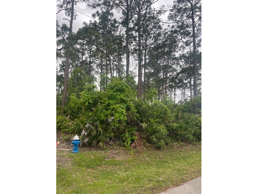 8 Poinsettia Lane Palm Coast FL 32164 FC290132 image1