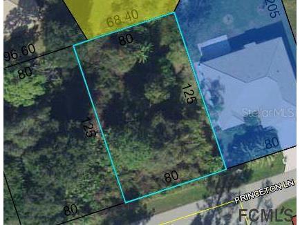 8 Princeton Lane Palm Coast FL 32164 FC276562 image2