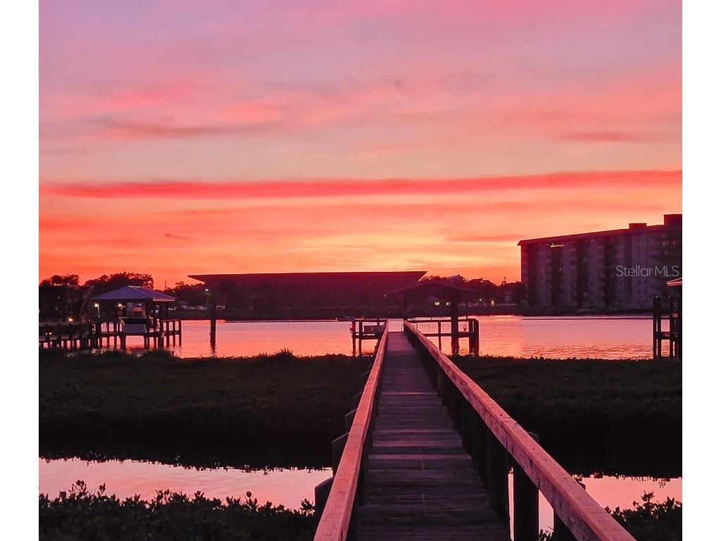 8 Richmond Drive New Smyrna Beach FL 32169 NS1085140 image33