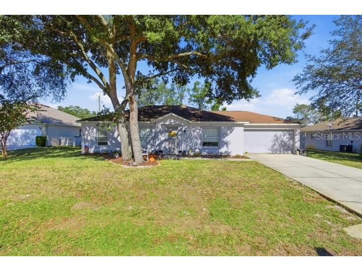 8 Rolling Fern Place Palm Coast FL 32164 FC313961 image1