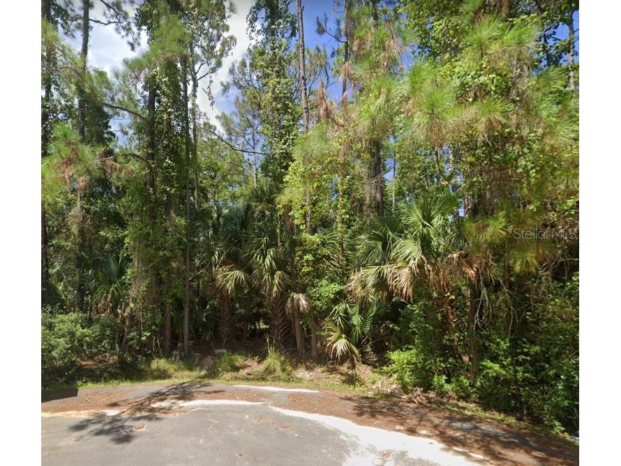 8 Rybar Place Palm Coast FL 32164 O6183060 image1