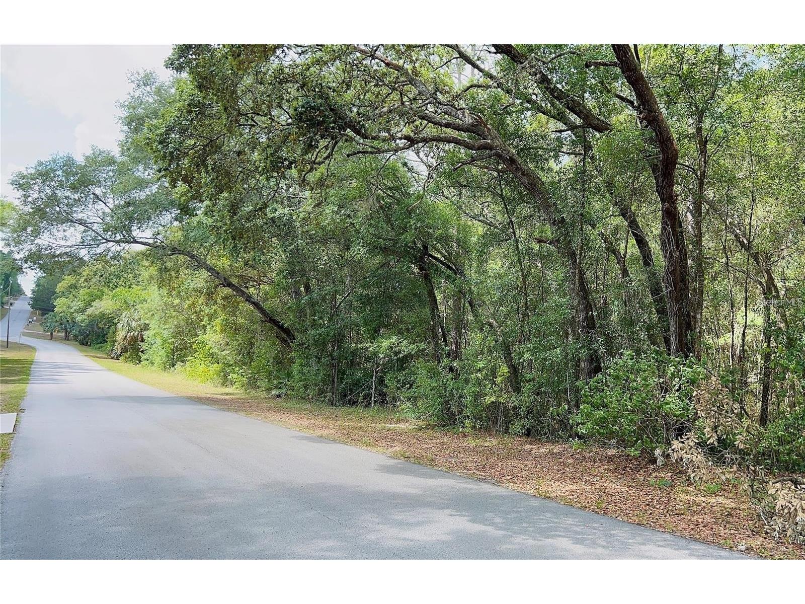 8 S Bauer Road Lecanto FL 34461 A4680984 image1