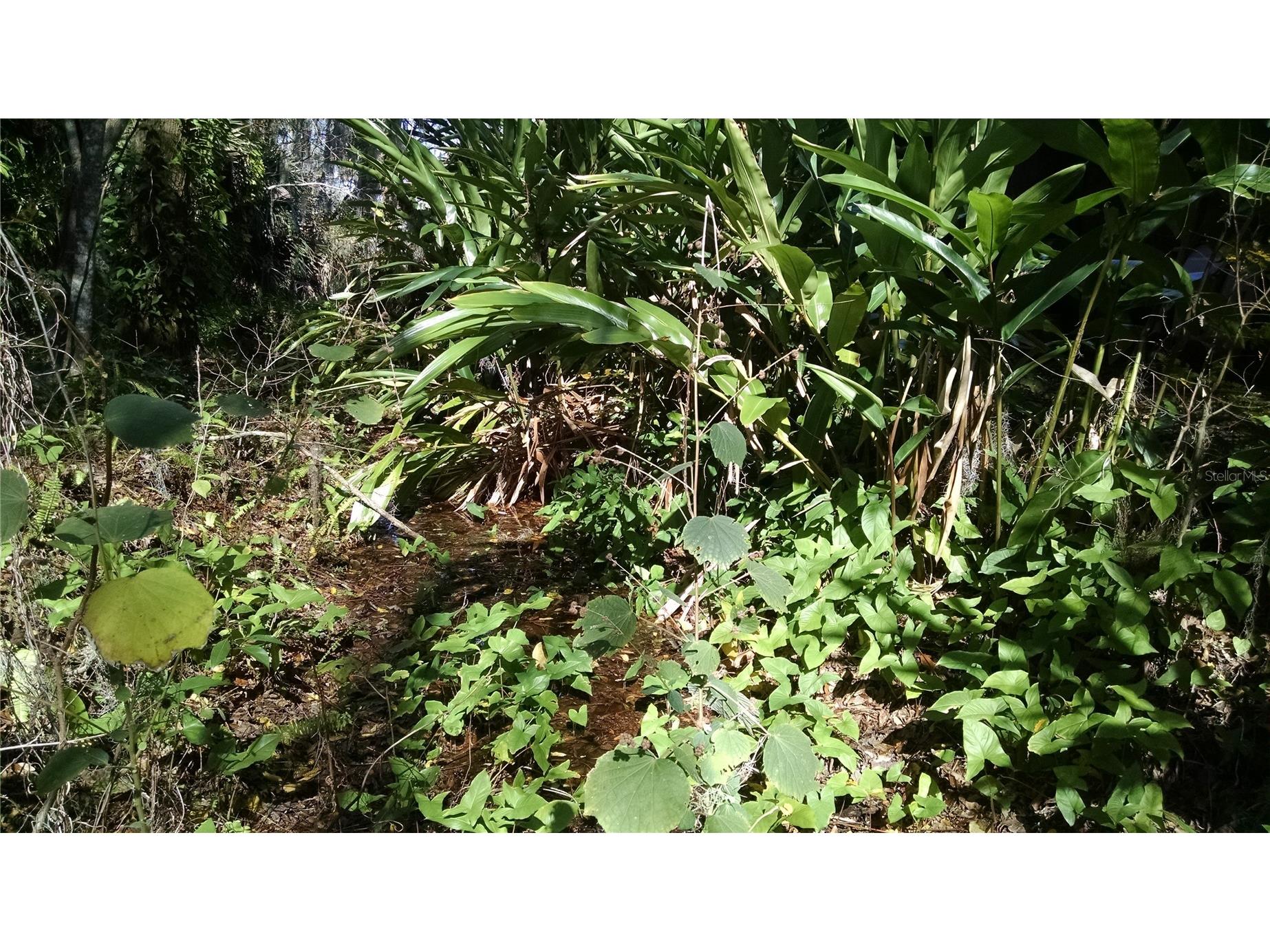 8 Santiago Road Debary FL 32713 R4911362 image1