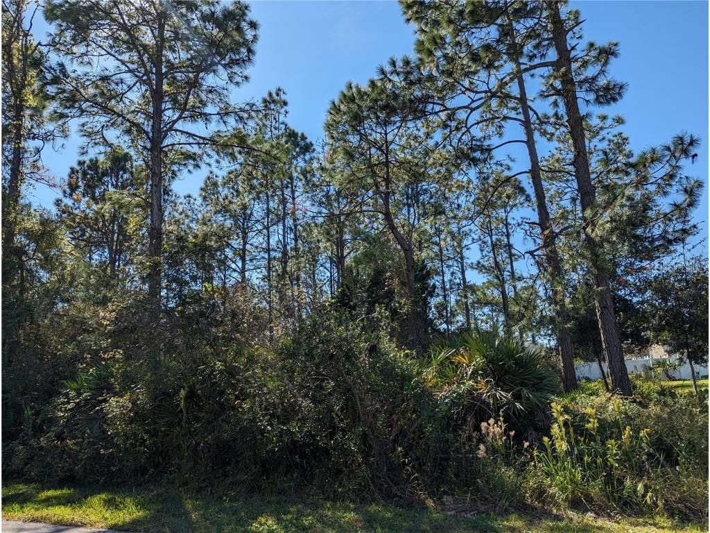 8 Sedgefield Path N Palm Coast FL 32164 FC295917 image1