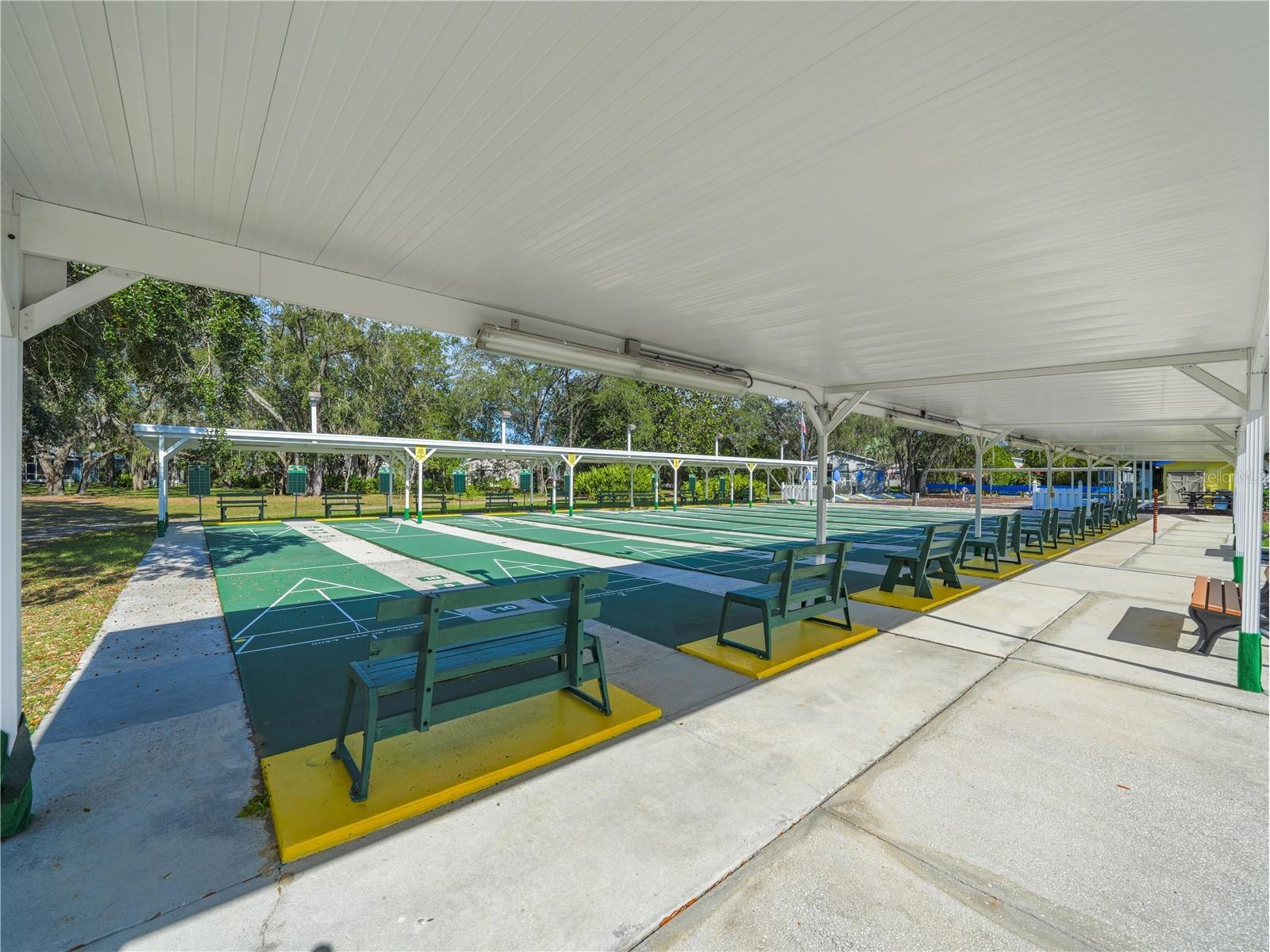 8 Silver Doctor Lane Lake Wales FL 33898 - SADDLEBAG LAKE K4903328 image41