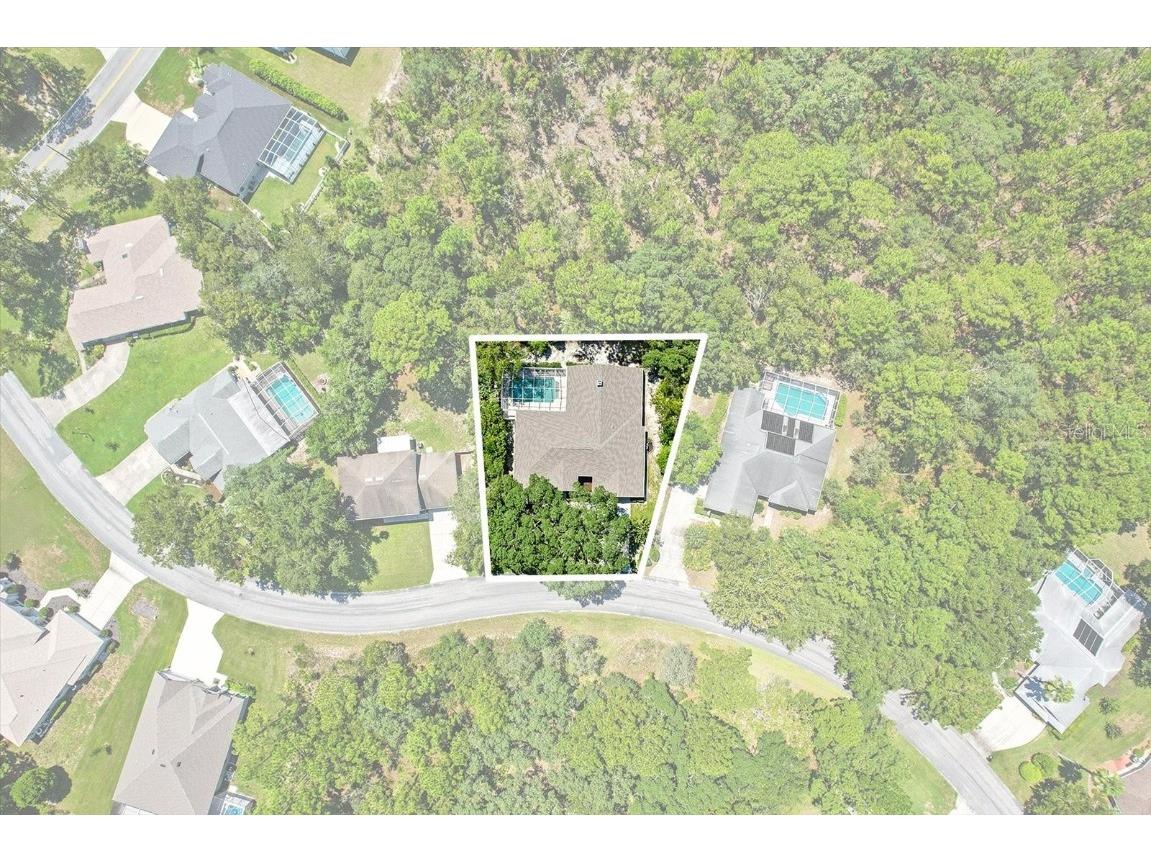 8 Sweetgum Court N Homosassa FL 34446 OM708931 image34