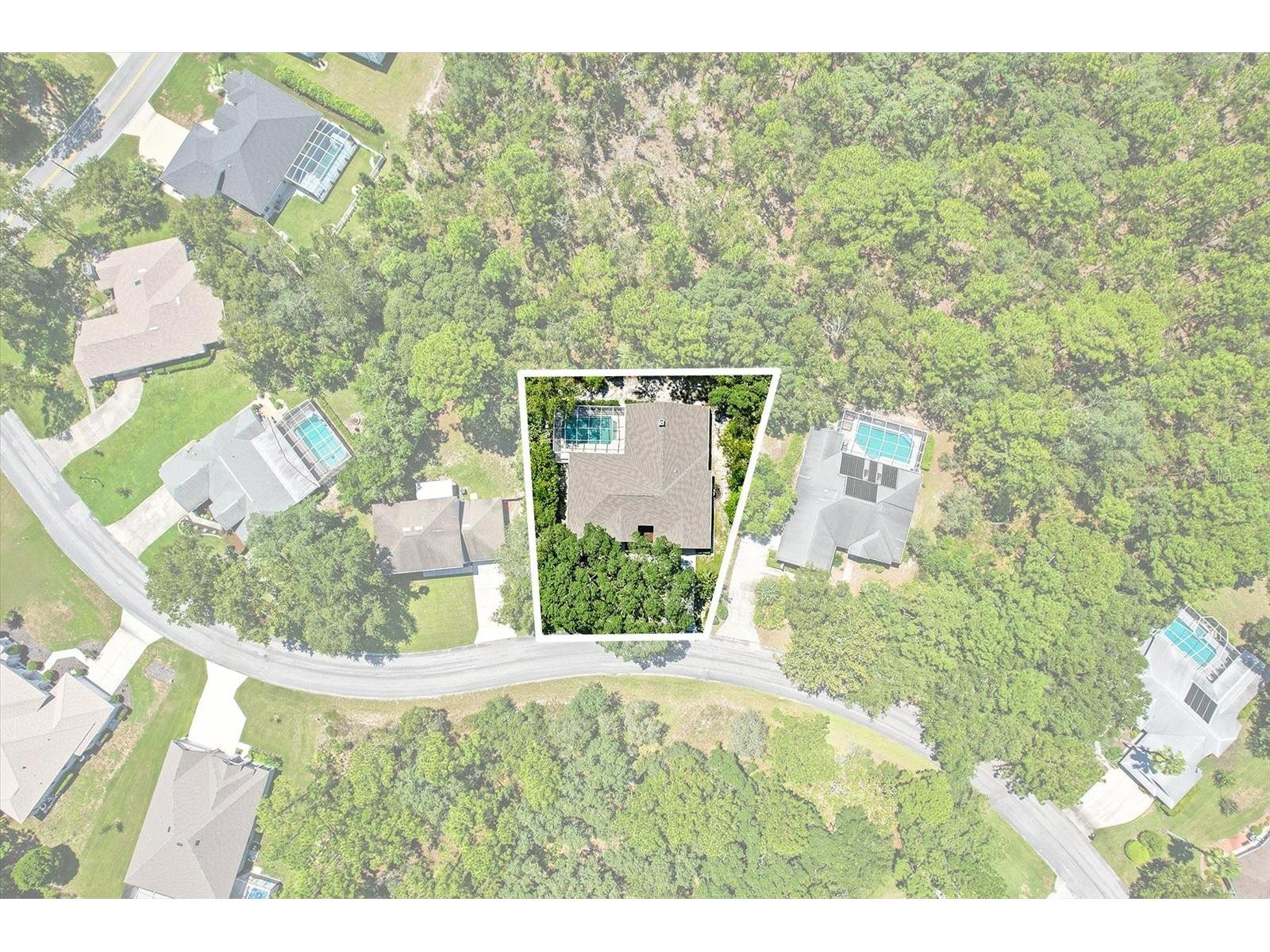 8 Sweetgum Court N Homosassa FL 34446 OM726585 image3