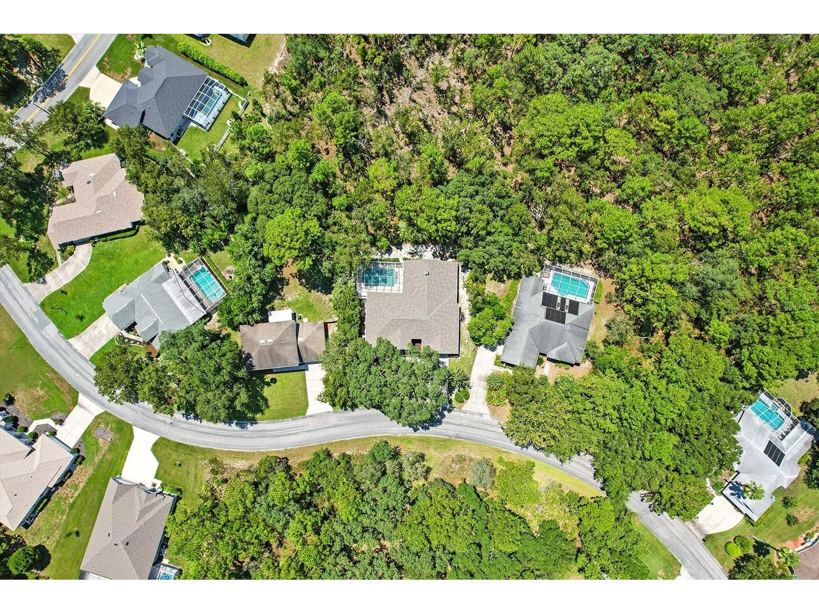 8 Sweetgum Court N Homosassa FL 34446 OM726585 image46