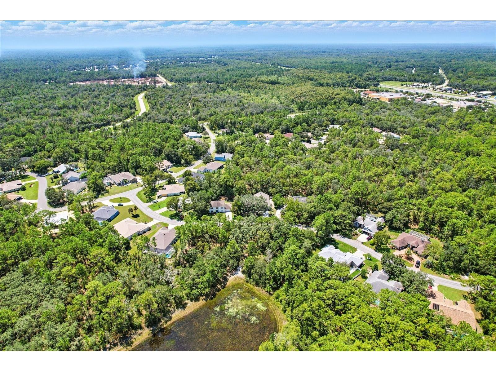 8 Sweetgum Court N Homosassa FL 34446 OM726585 image47