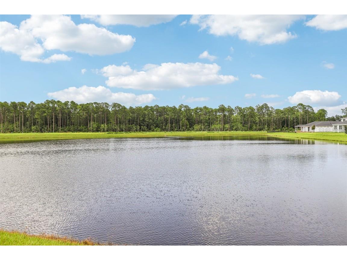 8 Wandering Creek Way Palm Coast FL 32164 O6321466 image4