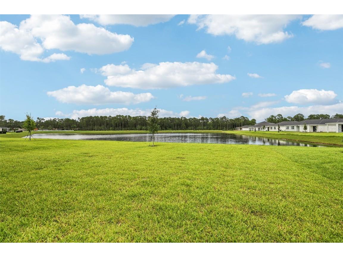 8 Wandering Creek Way Palm Coast FL 32164 O6321466 image43