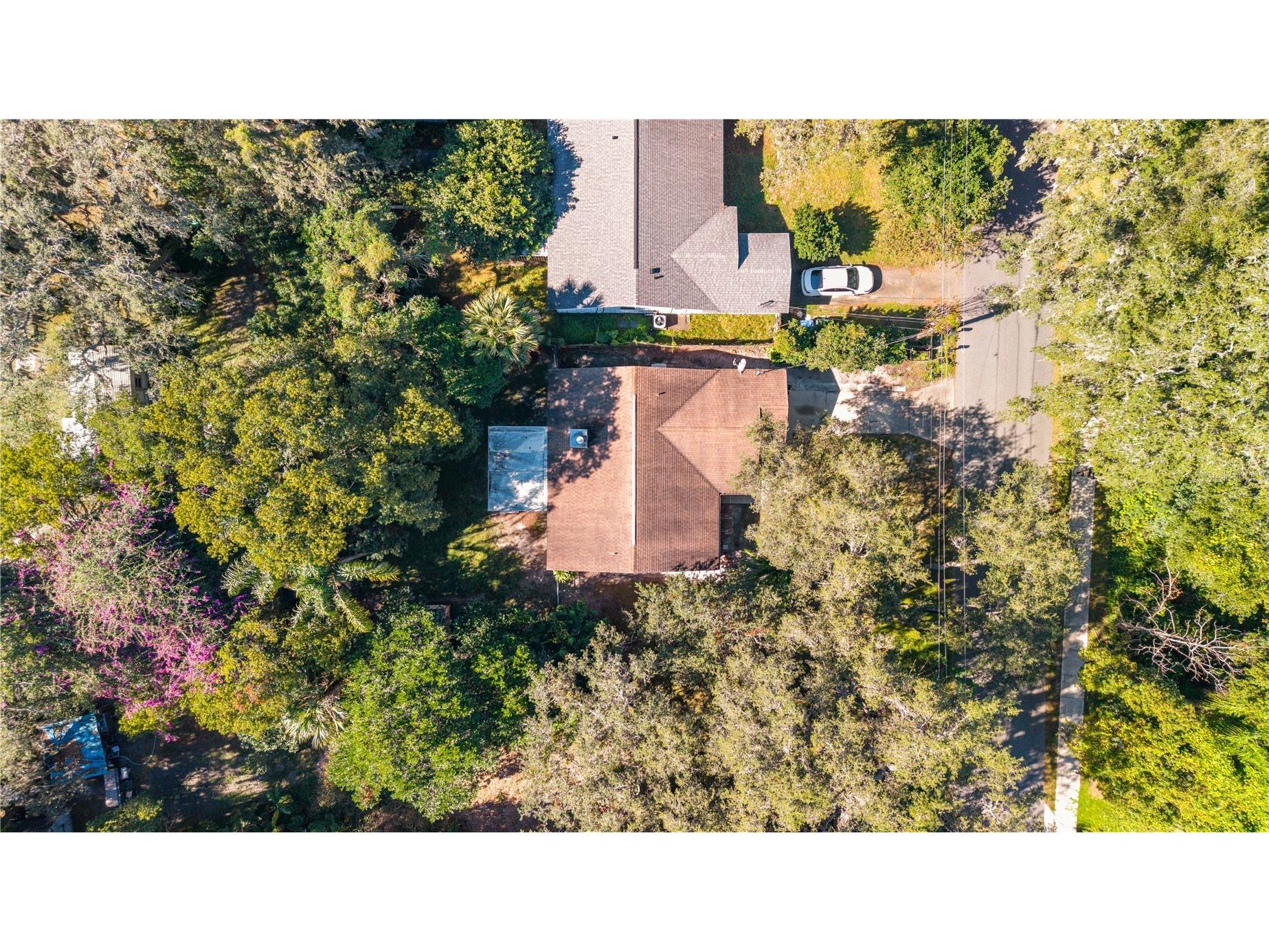 8 Wood Street Oviedo FL 32765 O6362019 image40