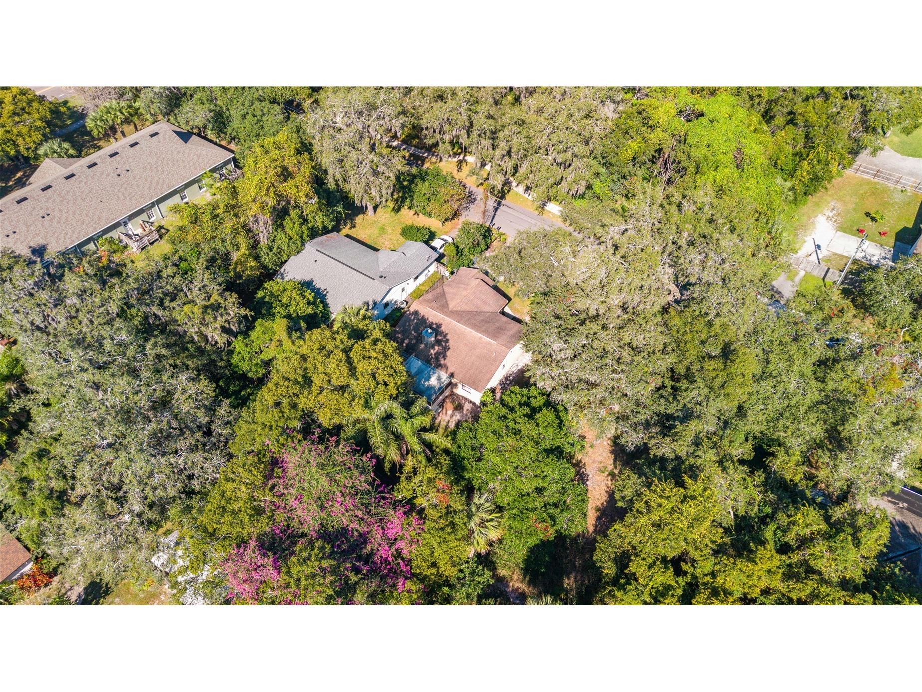 8 Wood Street Oviedo FL 32765 O6362019 image41