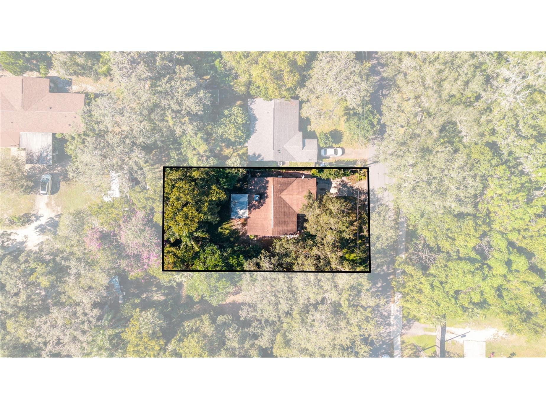 8 Wood Street Oviedo FL 32765 O6362019 image42