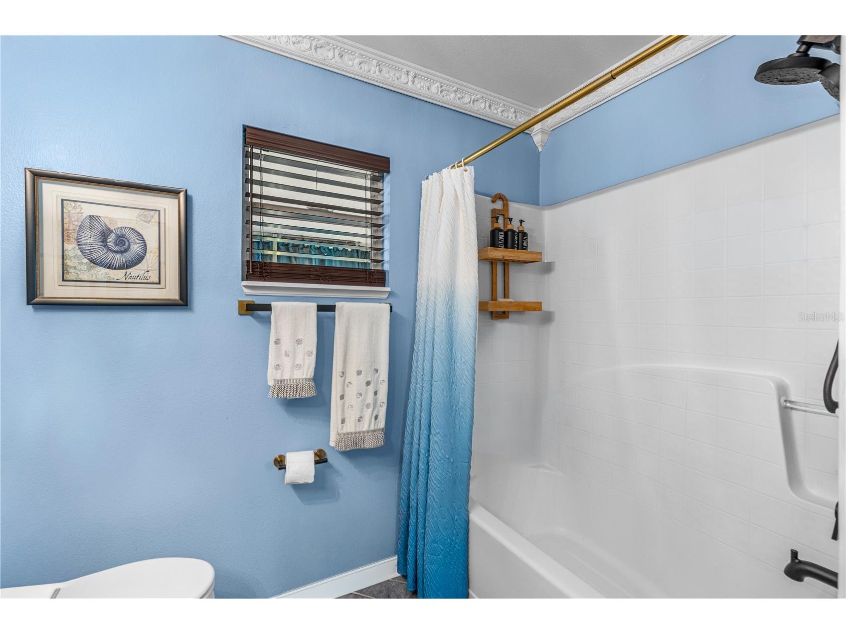 8 Ziegfeld Place Palm Coast FL 32164 FC316053 image23