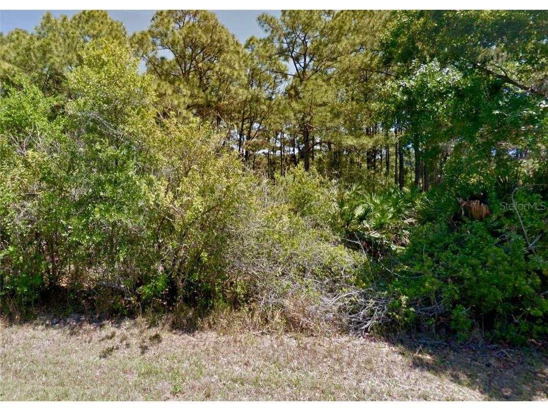 80 & 88 Remsen Street Port Charlotte FL 33953 N6140287 image3