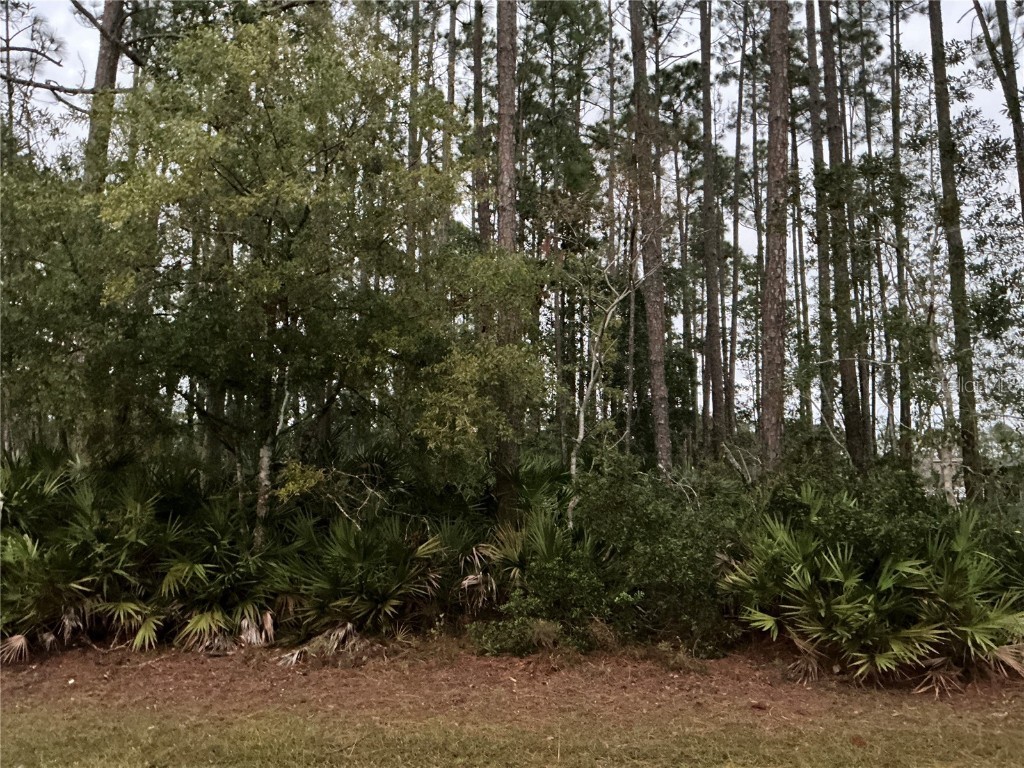 80 Edith Pope Drive Palm Coast FL 32164 OM691208 image1