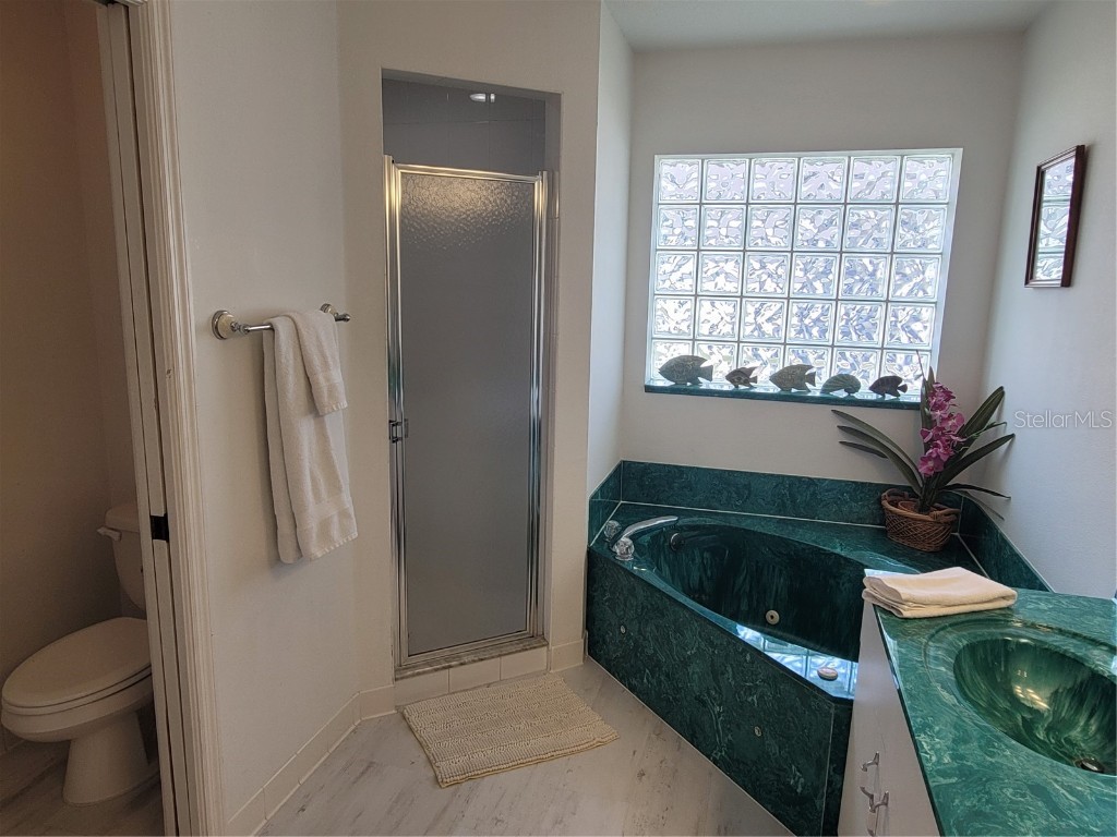 80 Mariner Lane Rotonda West FL 33947 D5919401 image19