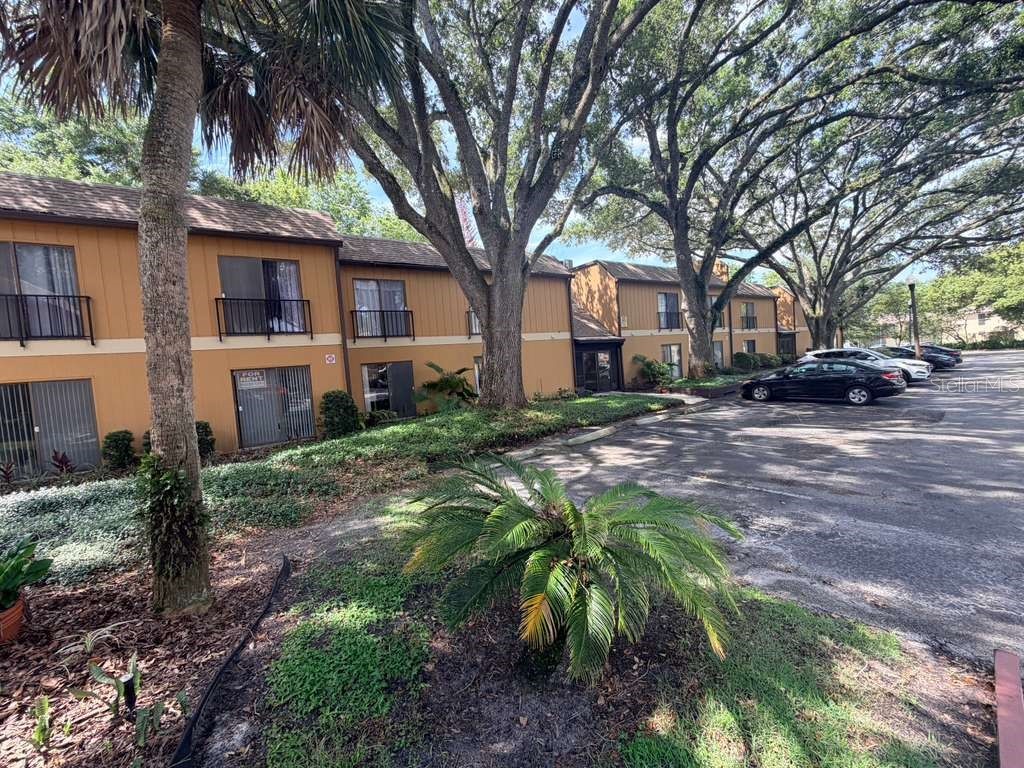 80 Moree Loop #9 Winter Springs FL 32708 O6412937 image4